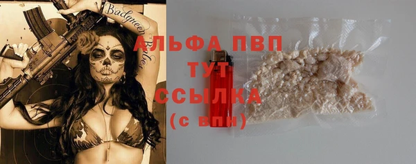 амф Богородицк