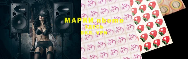 ГАЛЛЮЦИНОГЕННЫЕ ГРИБЫ Богданович