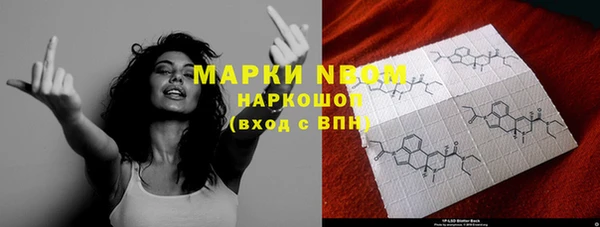 ГАЛЛЮЦИНОГЕННЫЕ ГРИБЫ Богданович