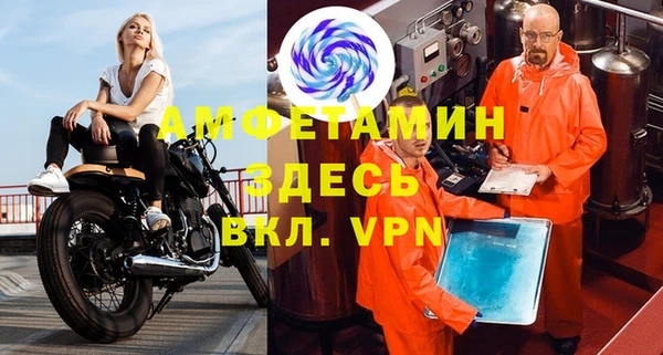 ГАЛЛЮЦИНОГЕННЫЕ ГРИБЫ Богданович