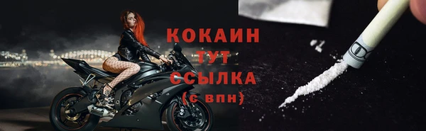 ГАЛЛЮЦИНОГЕННЫЕ ГРИБЫ Богданович