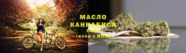 дмт Богородск