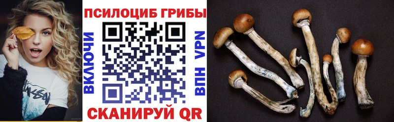 Галлюциногенные грибы прущие грибы  Мичуринск 